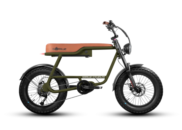 GORILLE CADET kaki