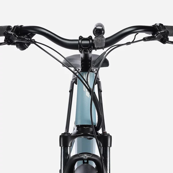 CROSSOVER NATIVE S LTD - 2024 – Image 5